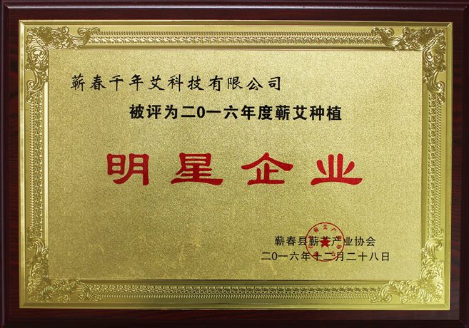 2016蘄艾種植明星企業(yè)