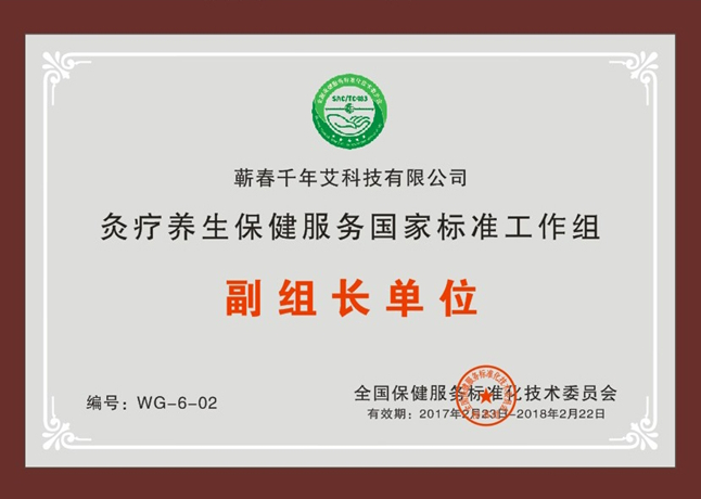 灸療保健服務(wù)國(guó)家標(biāo)準(zhǔn)工作組副組長(zhǎng)