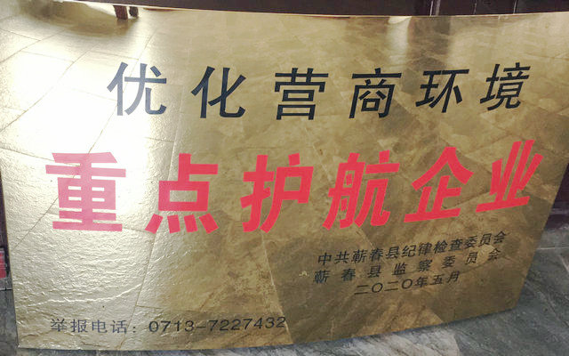 蘄春縣重點(diǎn)護(hù)航企業(yè)